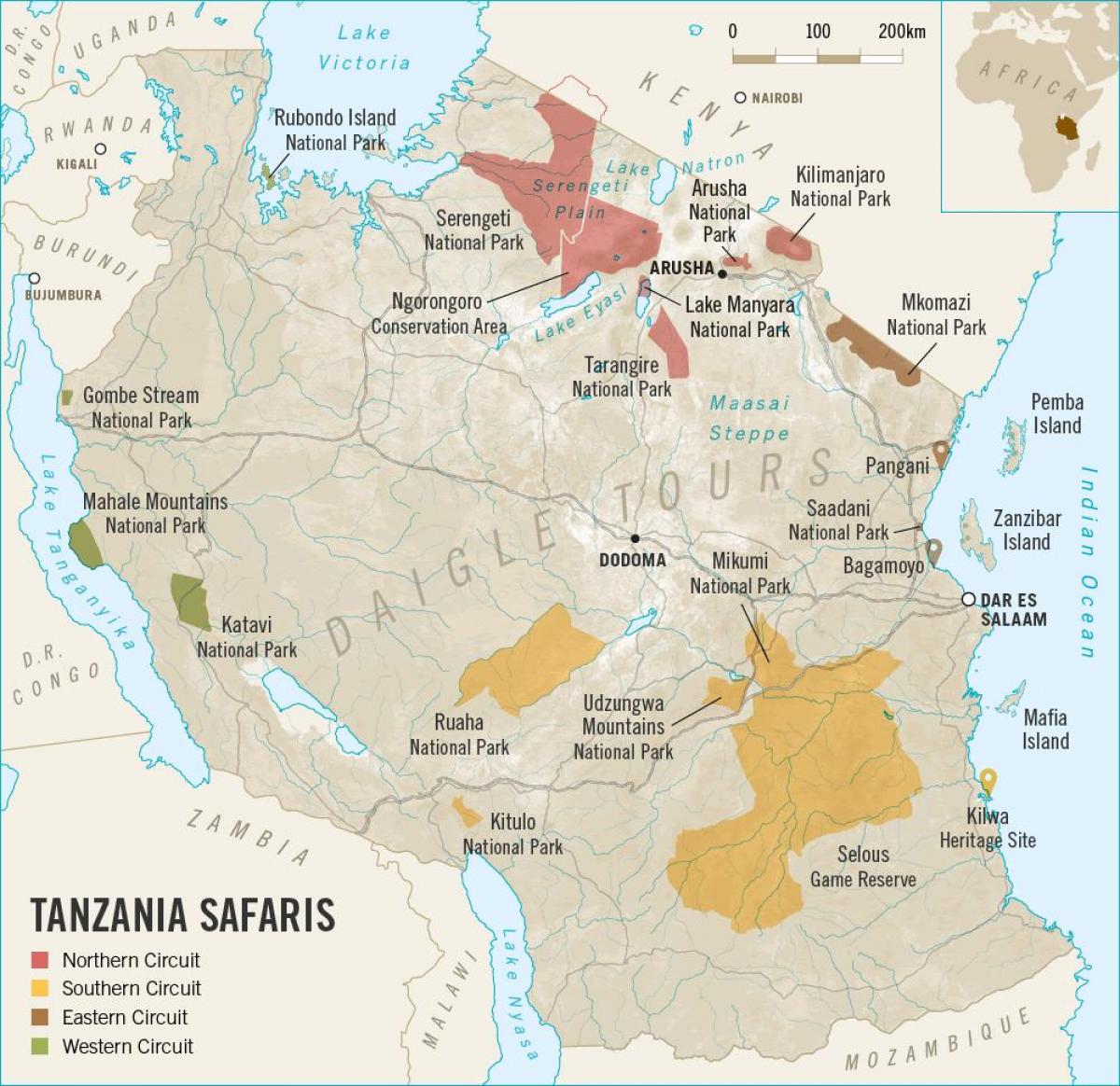 图坦桑尼亚safari 